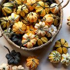 Daisy Gourd Gourd