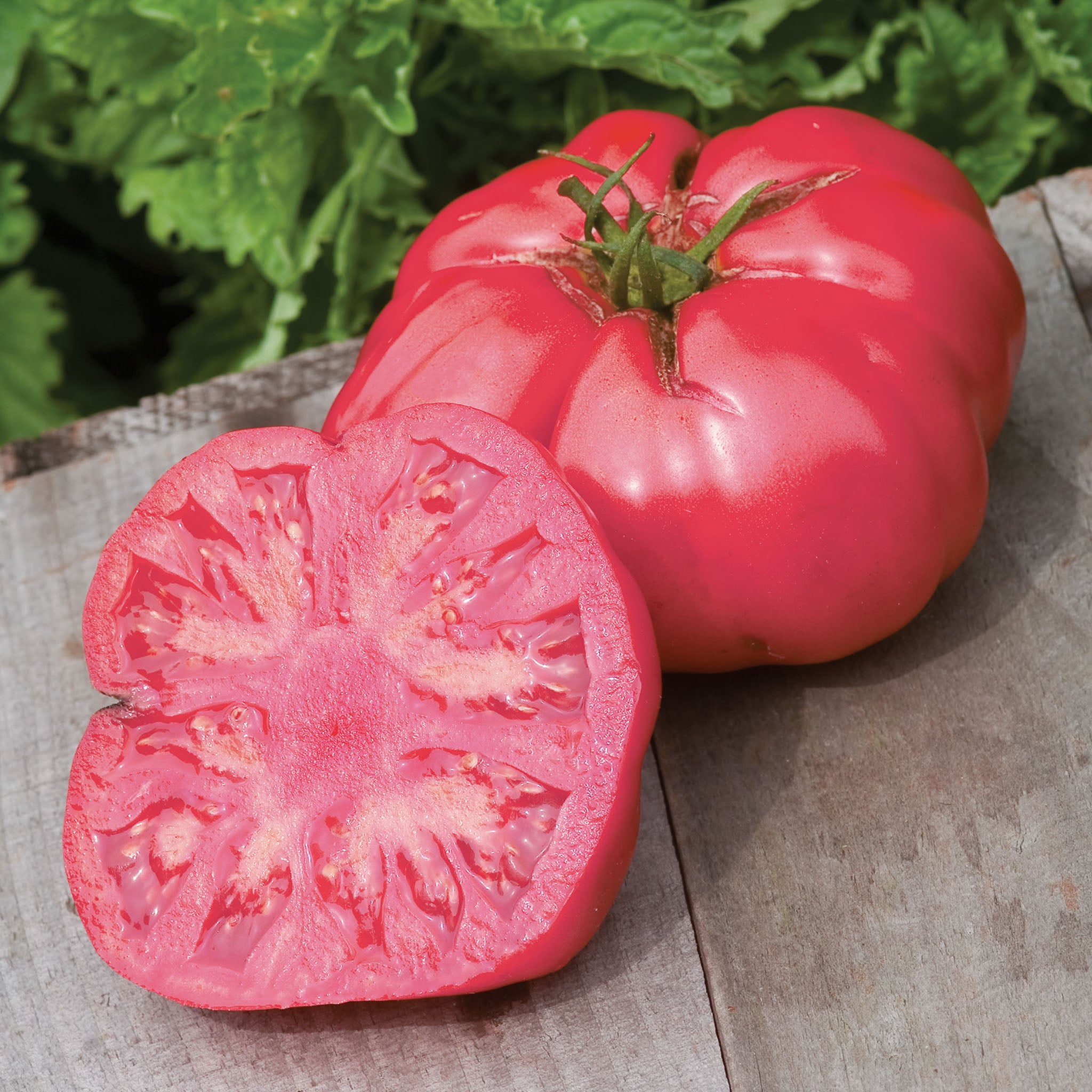 Caspian Pink Tomato