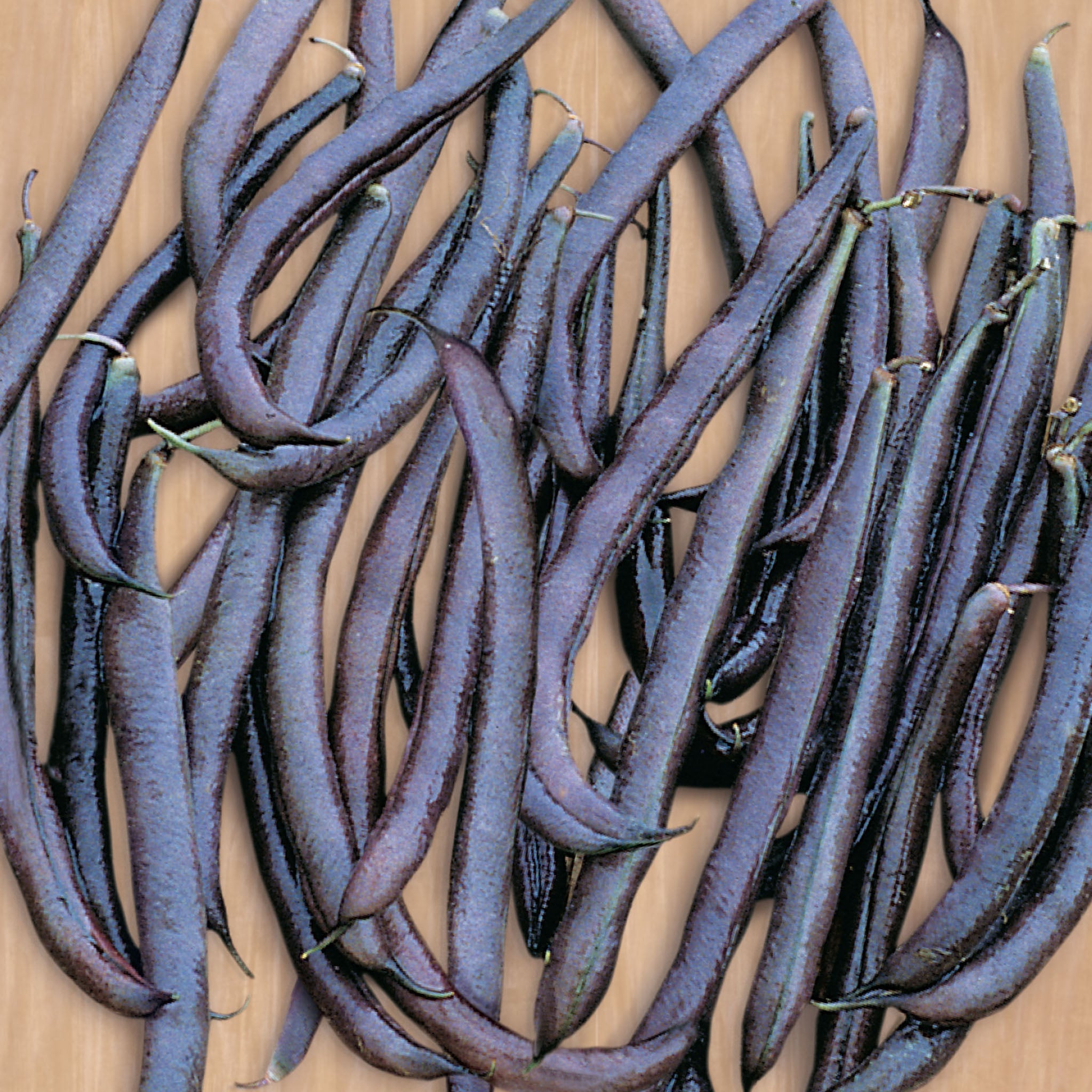 Pole Purple King Bean