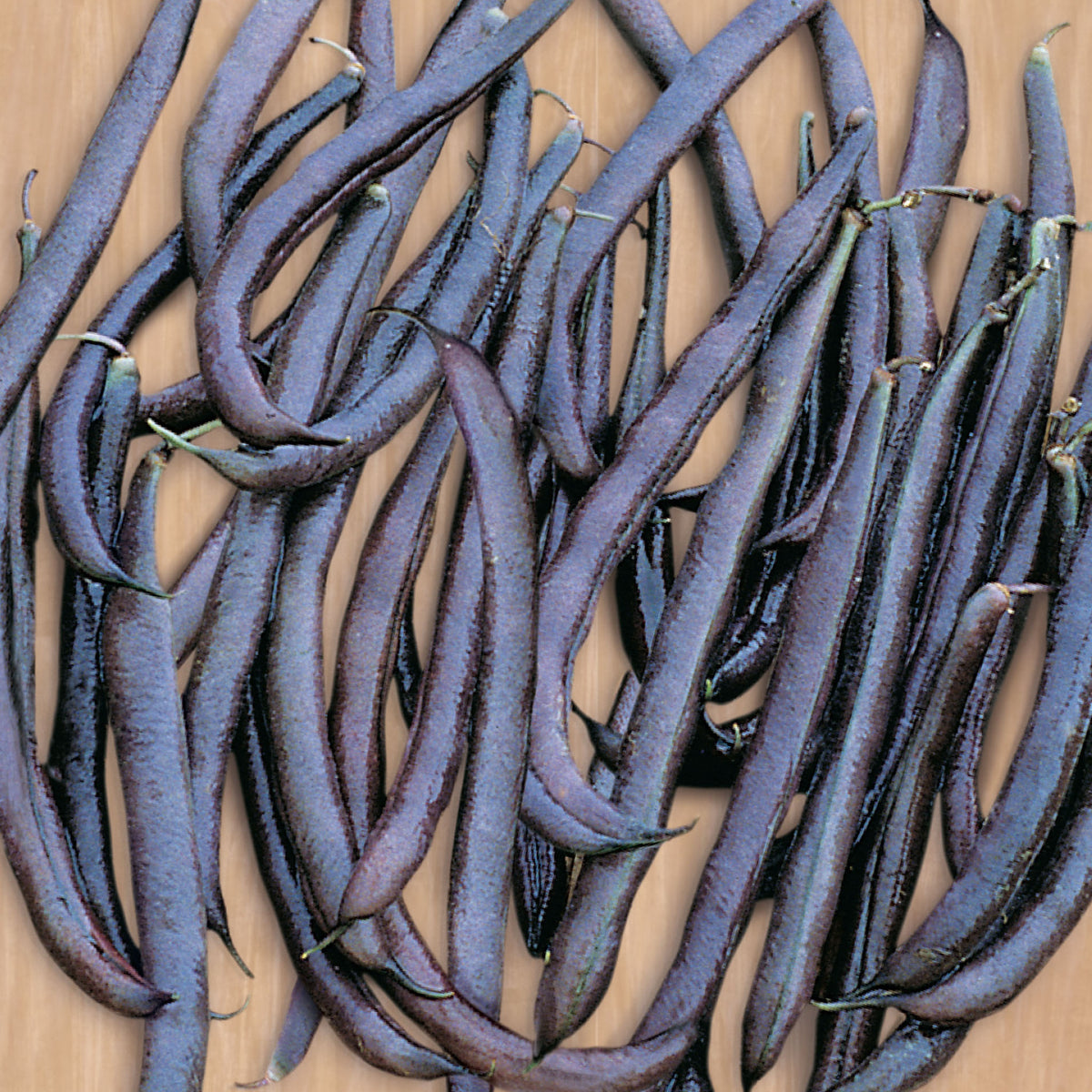 Pole Purple King Bean
