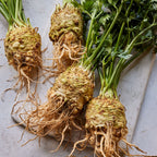 Brilliant Celeriac
