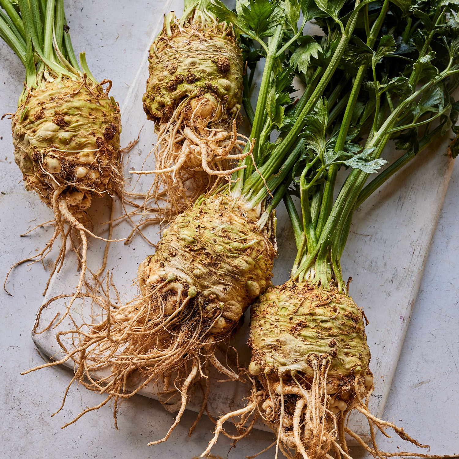 Brilliant Celeriac