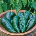 Big Boss Man Hot Pepper