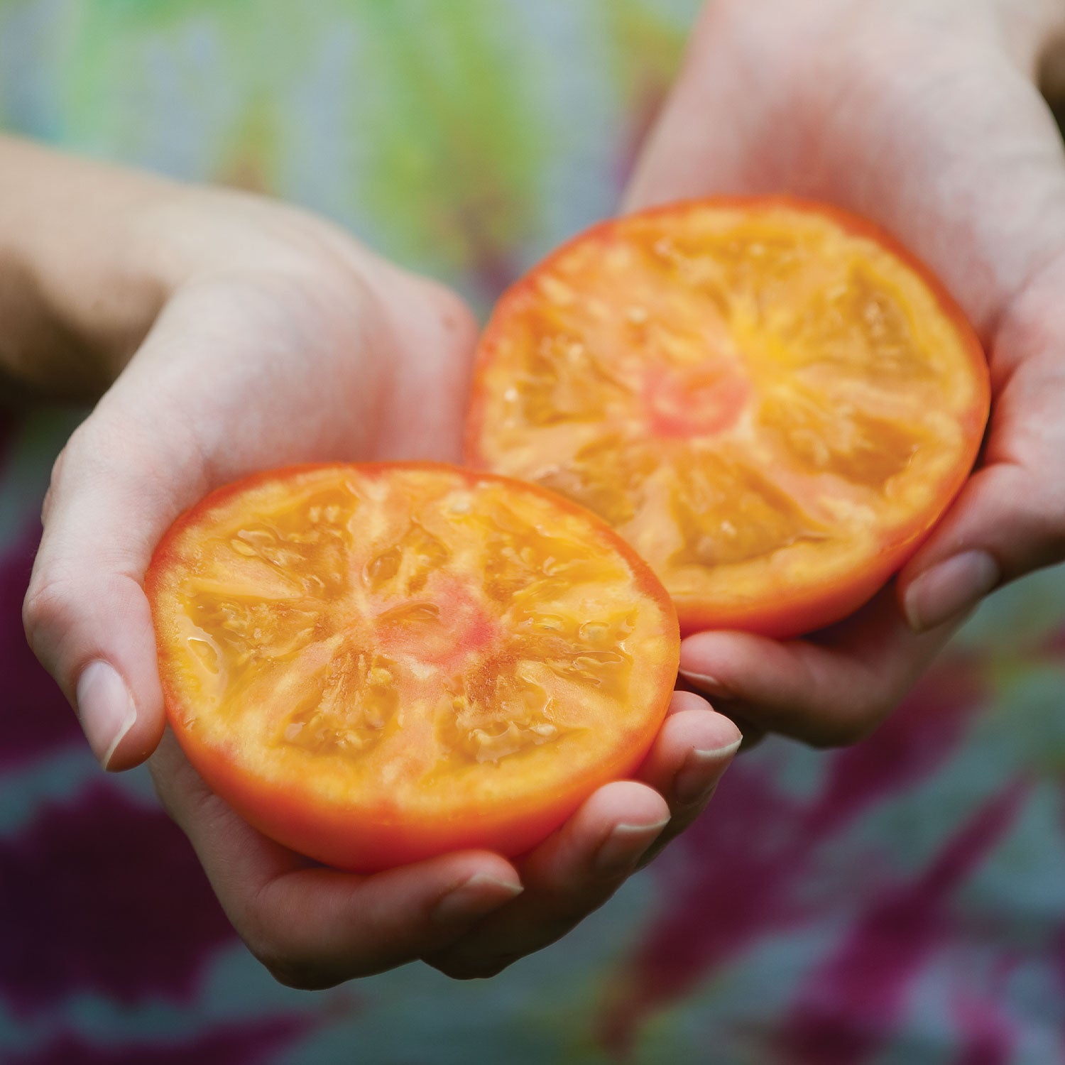 Tye-Dye Tomato