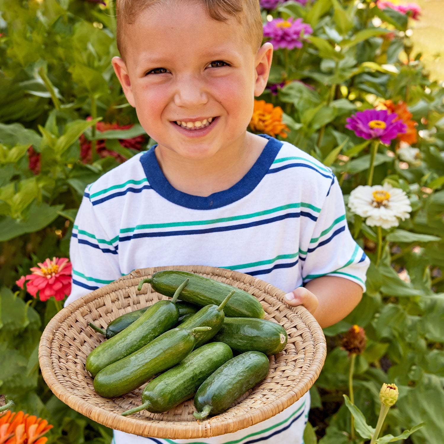 Party Time Mini Cucumber