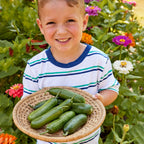 Party Time Mini Cucumber
