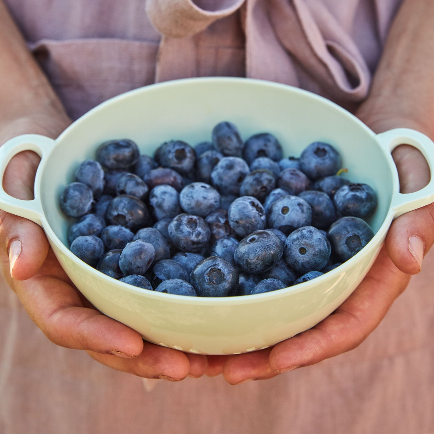 Razz Blueberry