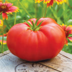 Madame Marmande Tomato
