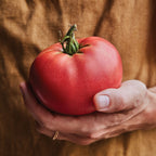 Delicious Tomato