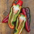 Thunderbolt Sweet Pepper