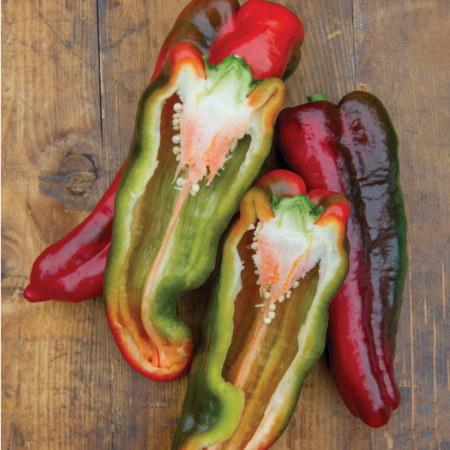 Thunderbolt Sweet Pepper
