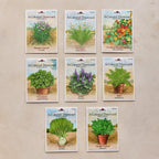 A Colonial Dooryard Herb Garden