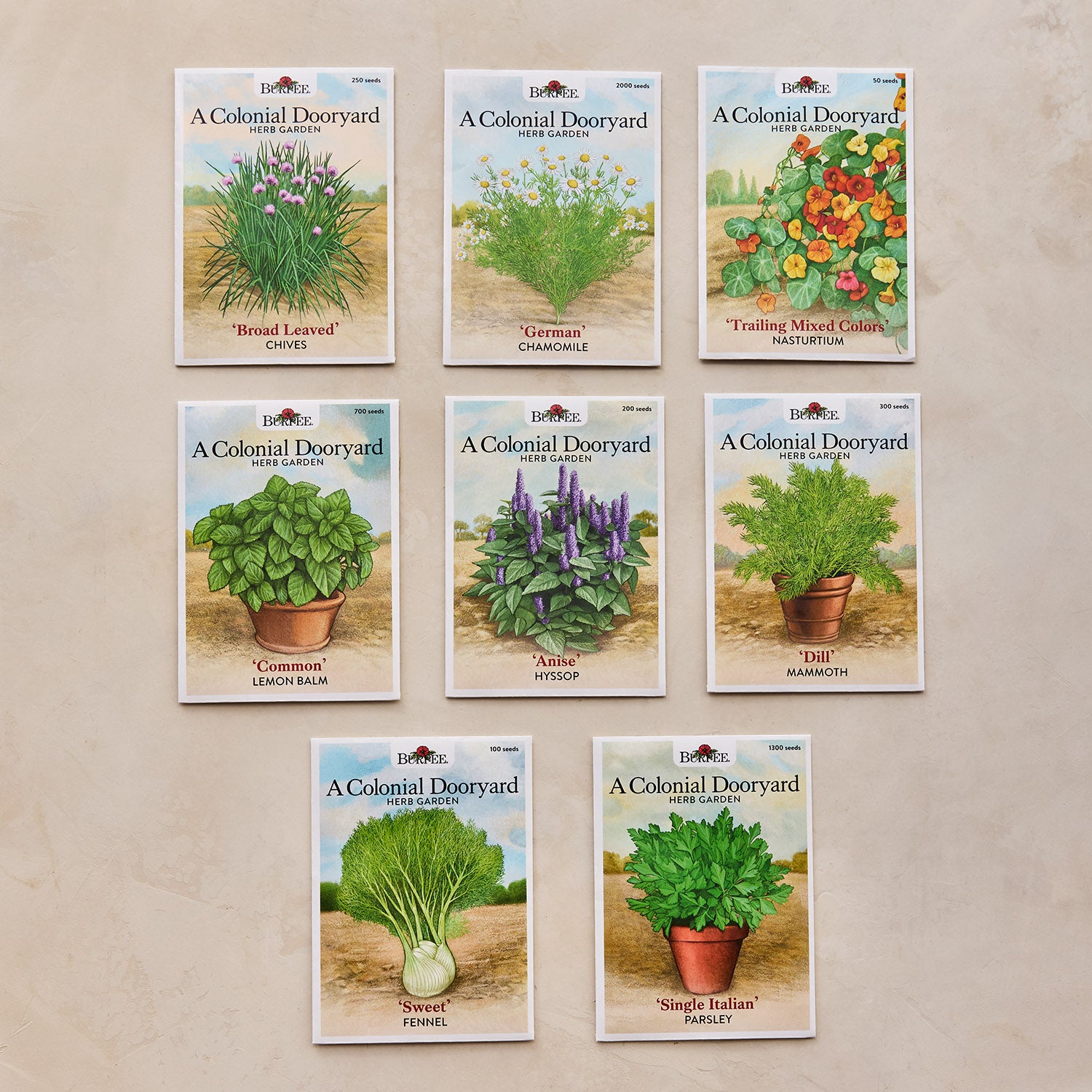 A Colonial Dooryard Herb Garden