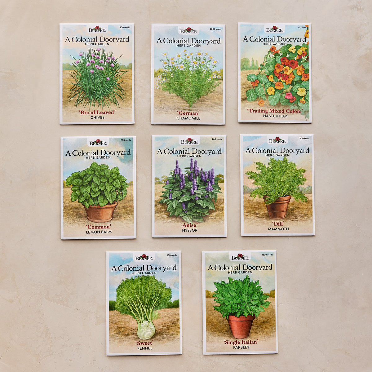 A Colonial Dooryard Herb Garden