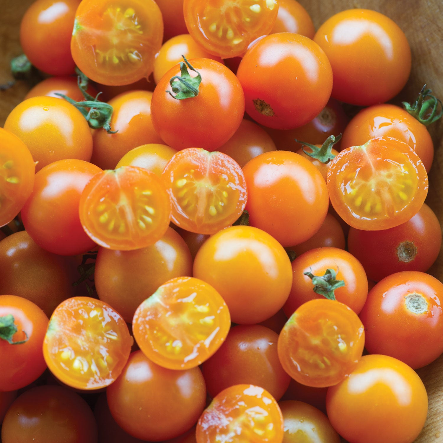 Sungold Tomato