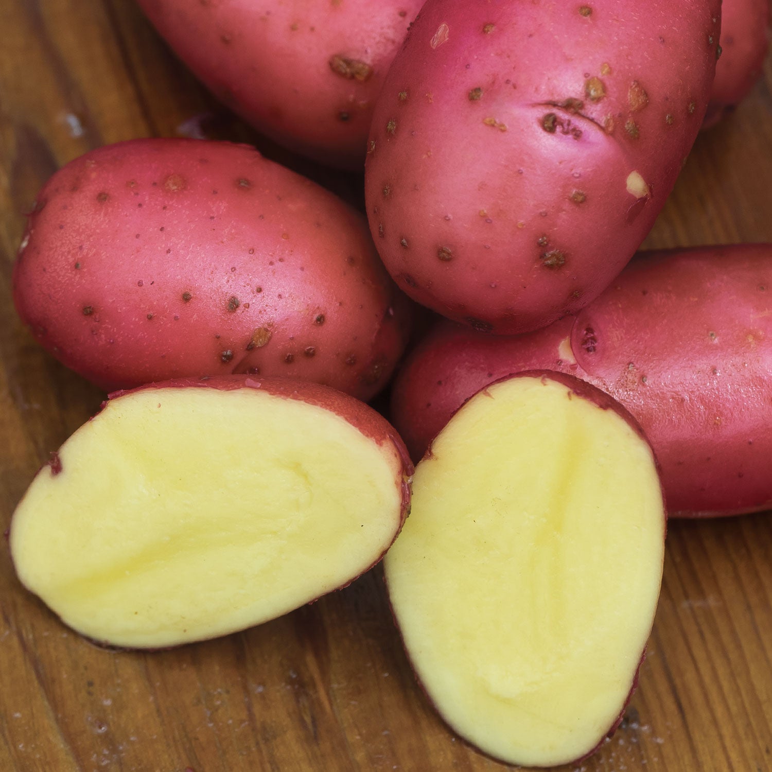 Red Luna Potato Tubers