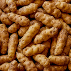 Makah Ozette Potato Tubers