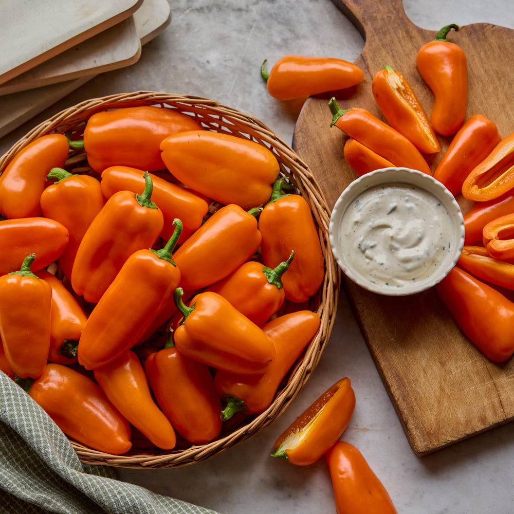 Orange Pop Sweet Pepper