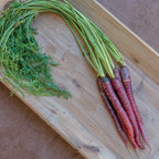 Purplesnax Carrot