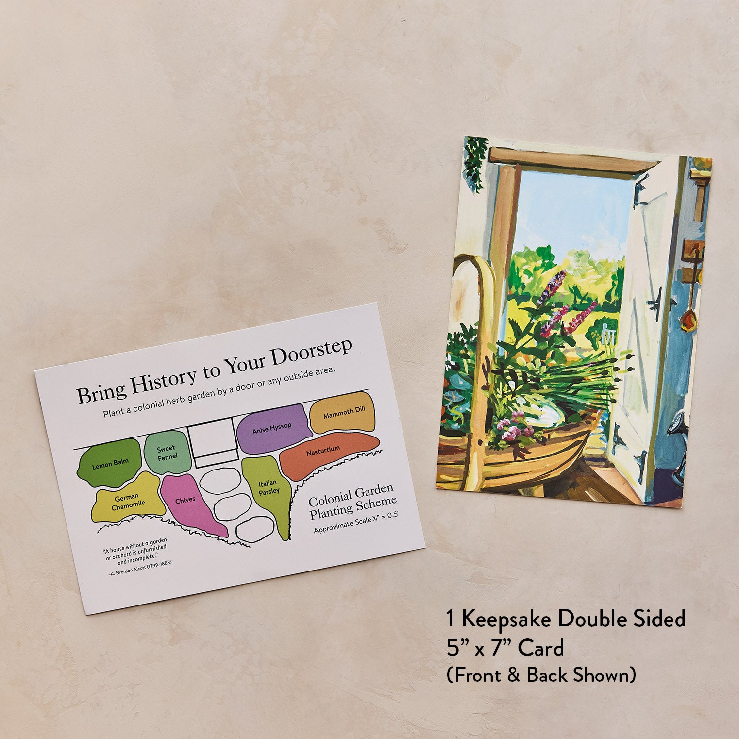 A Colonial Dooryard Herb Garden