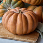 Musquee de Provence Pumpkin