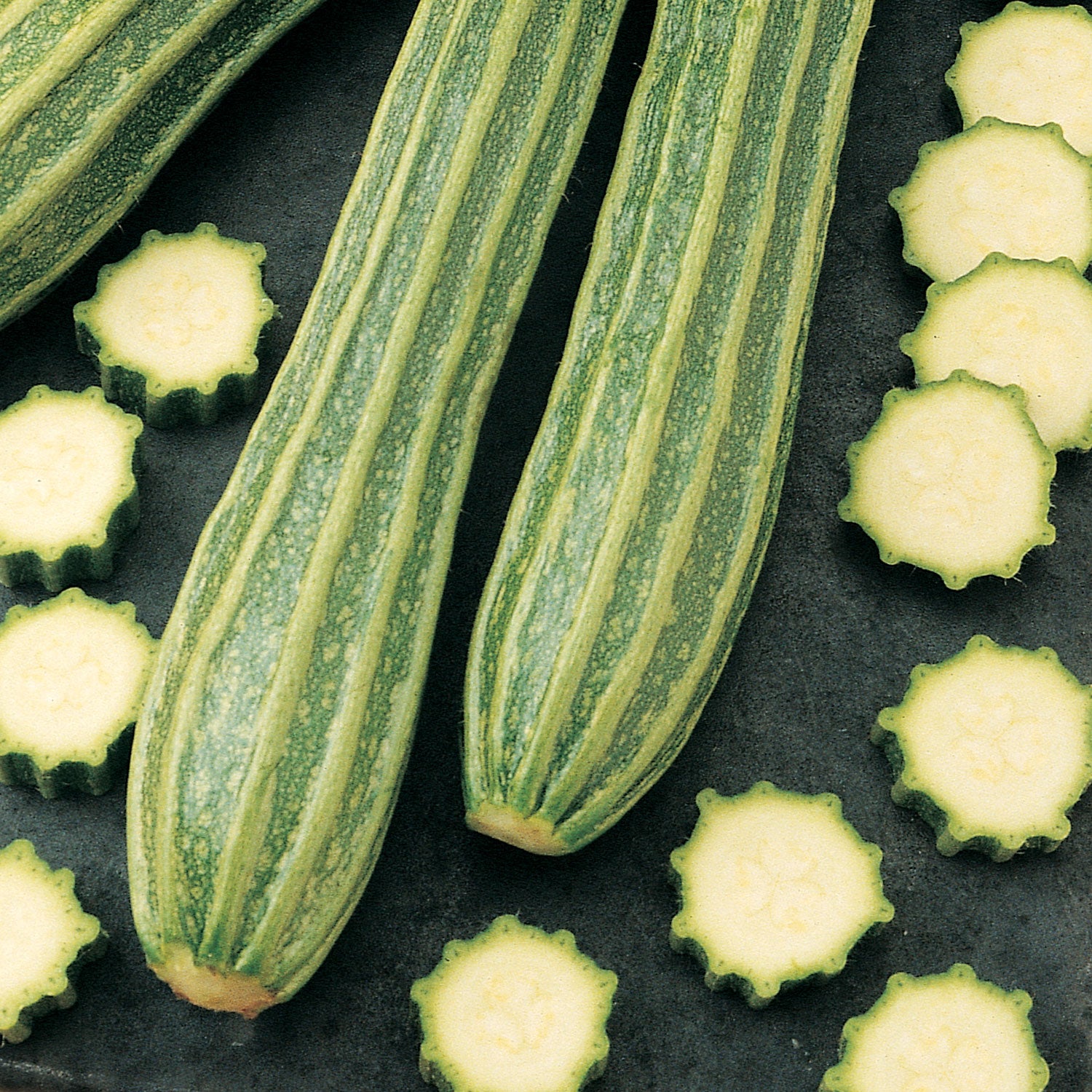 Italian Ribbed Zucchini Squash