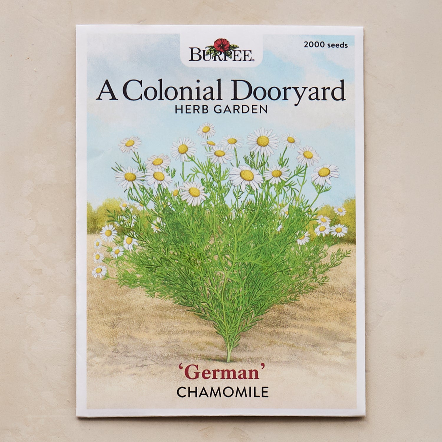 German Chamomile Seeds - A Colonial Dooryard Herb Garden