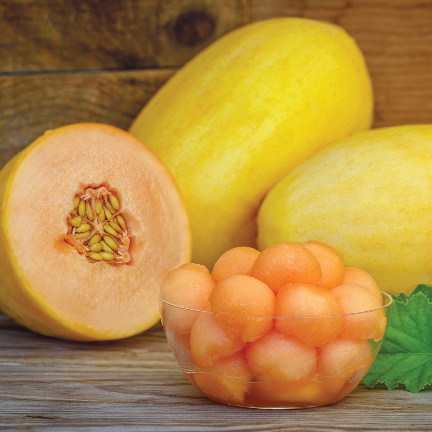 Mango Melon