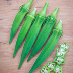Clemson Spineless Okra