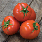 Beefsteak Organic Tomato