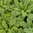 Prizm Kale