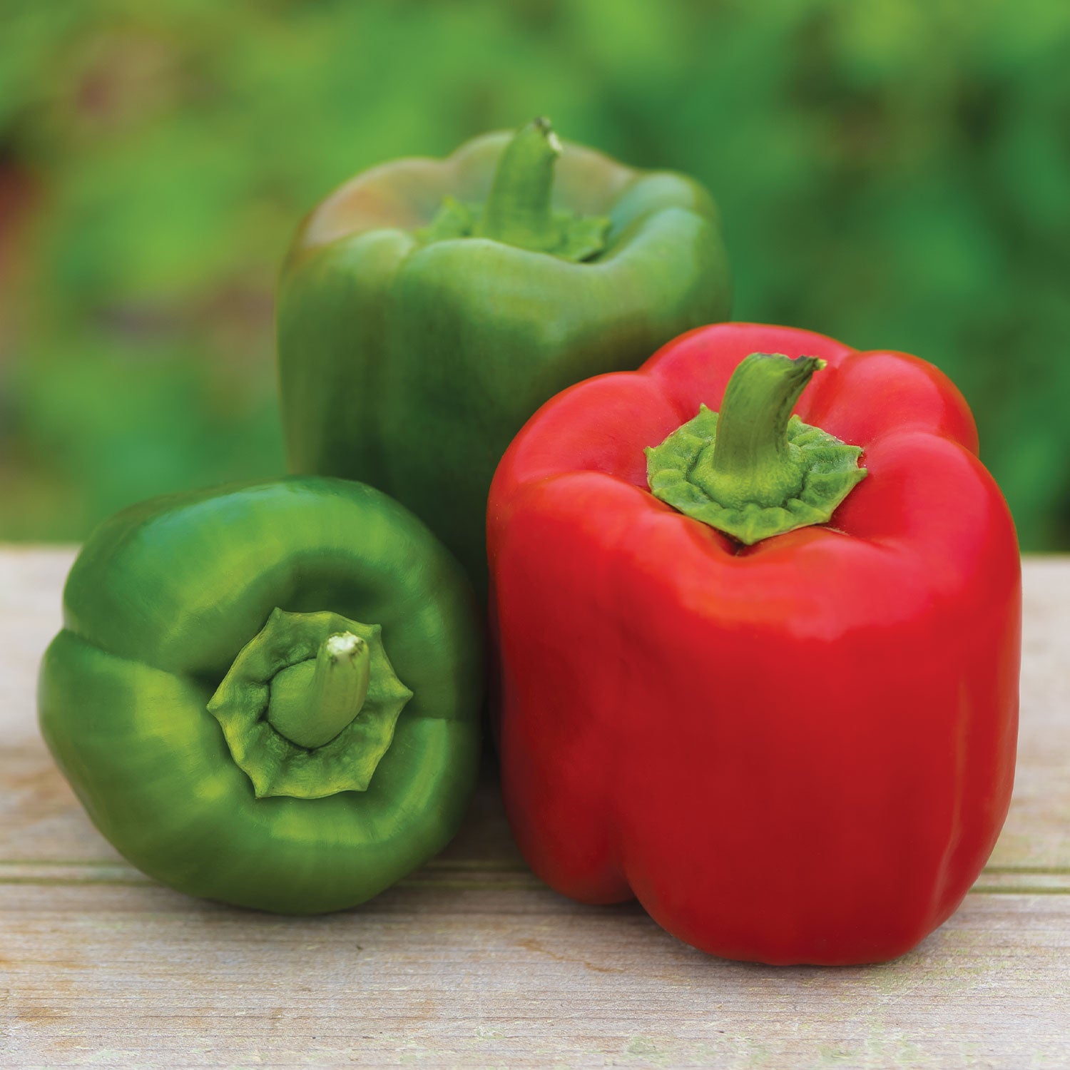 Candy Apple Sweet Pepper