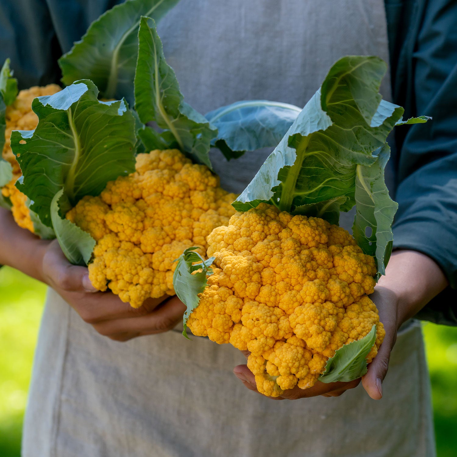 Clementine Cauliflower