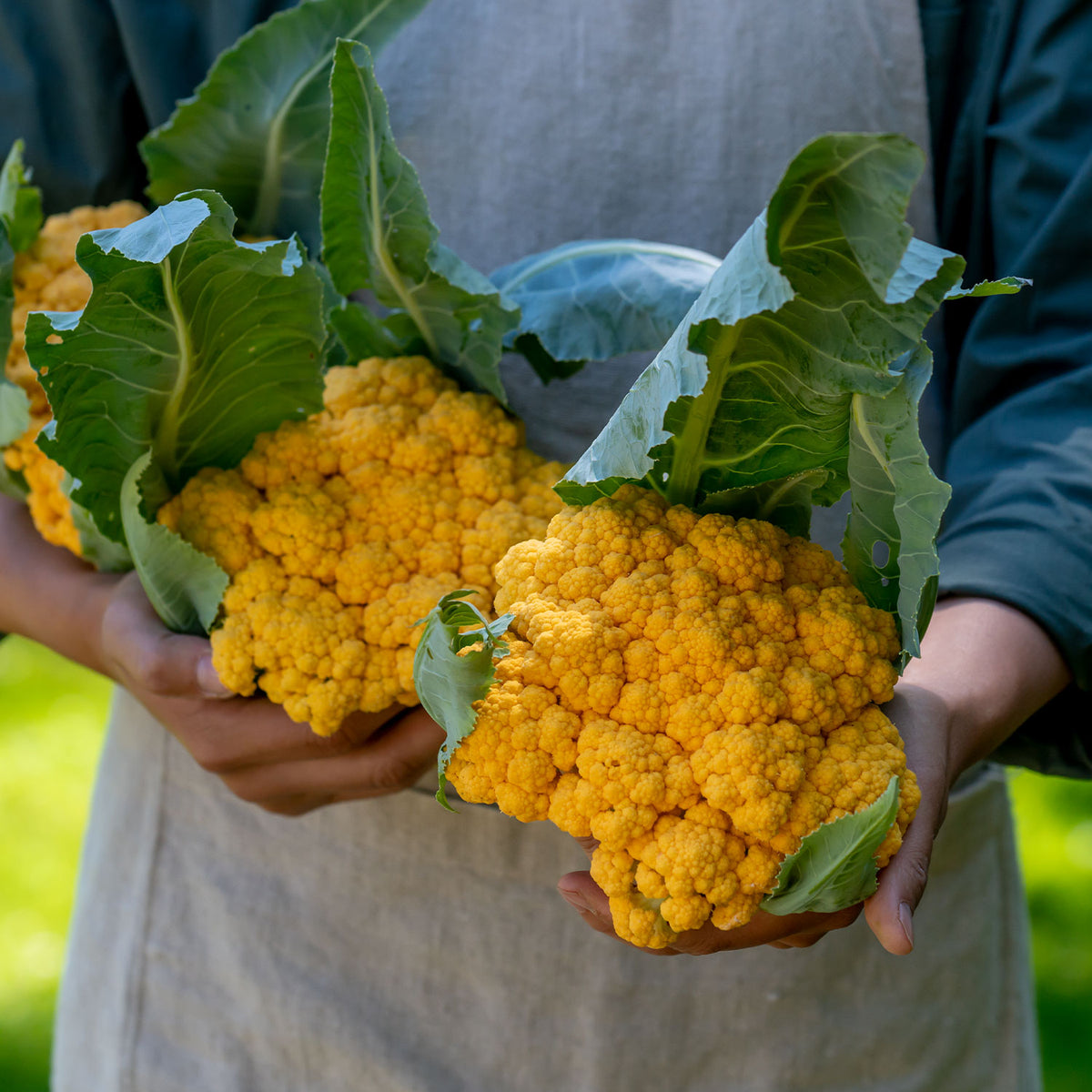 Clementine Cauliflower