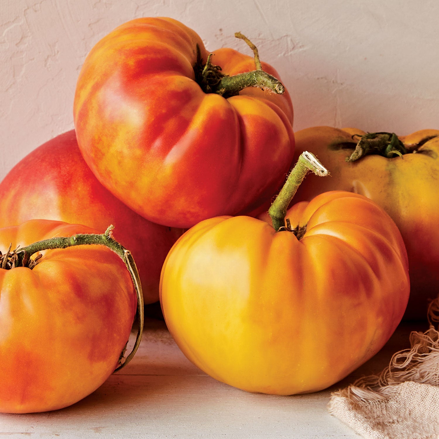 Big Rainbow Tomato