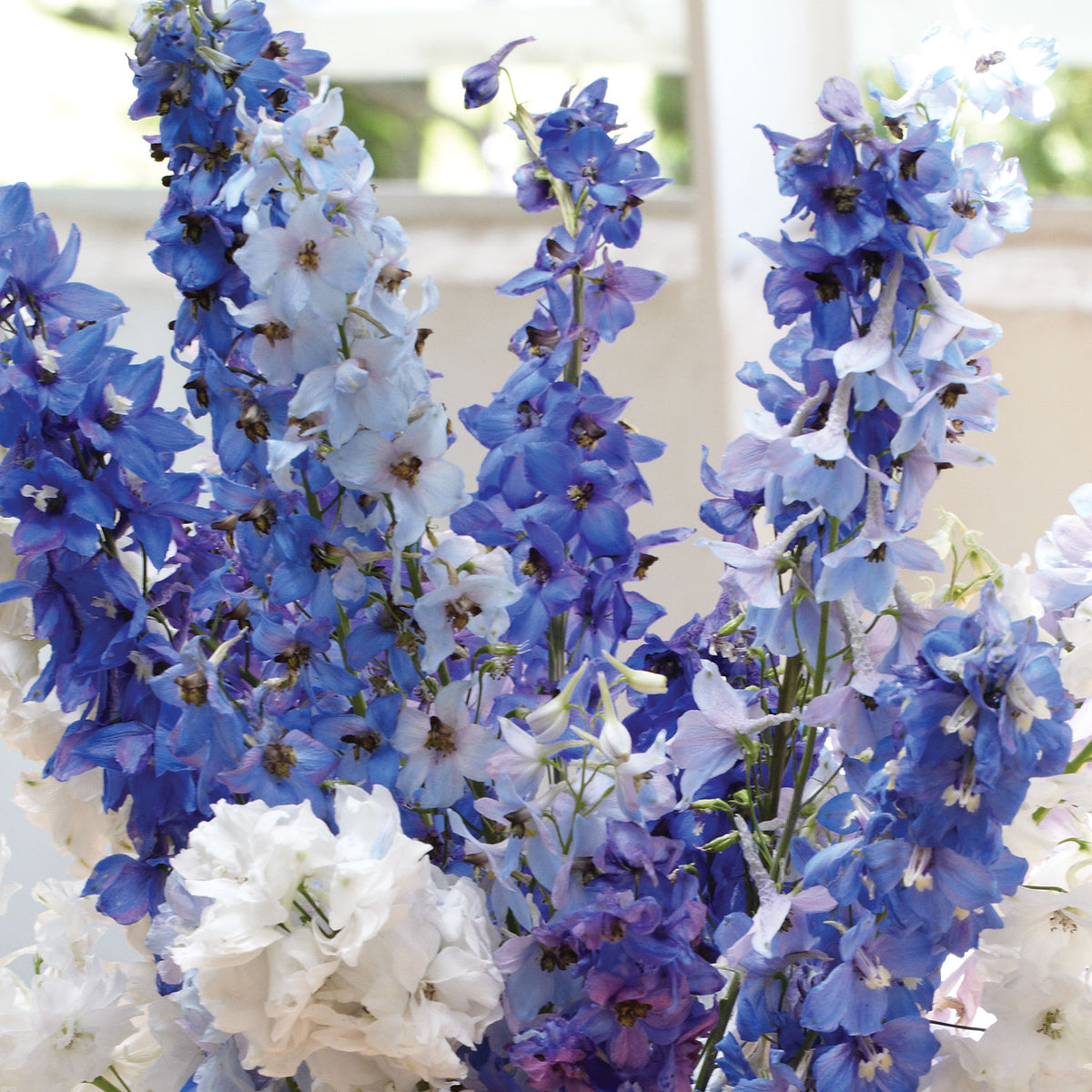 Fordhook Cottage Garden Mix Delphinium