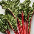 Burpee's Rhubarb Swiss Chard
