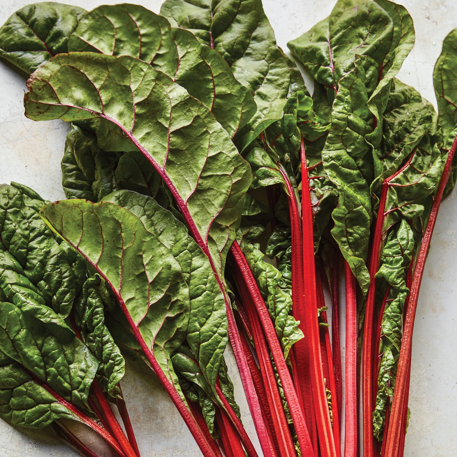 Burpee's Rhubarb Swiss Chard