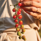 Red Currant Tomato