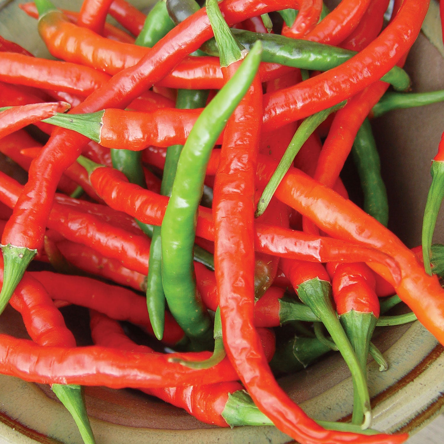 Long Red Slim Cayenne Hot Pepper