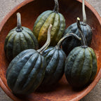 Burpee's Bush Table Queen Winter Squash
