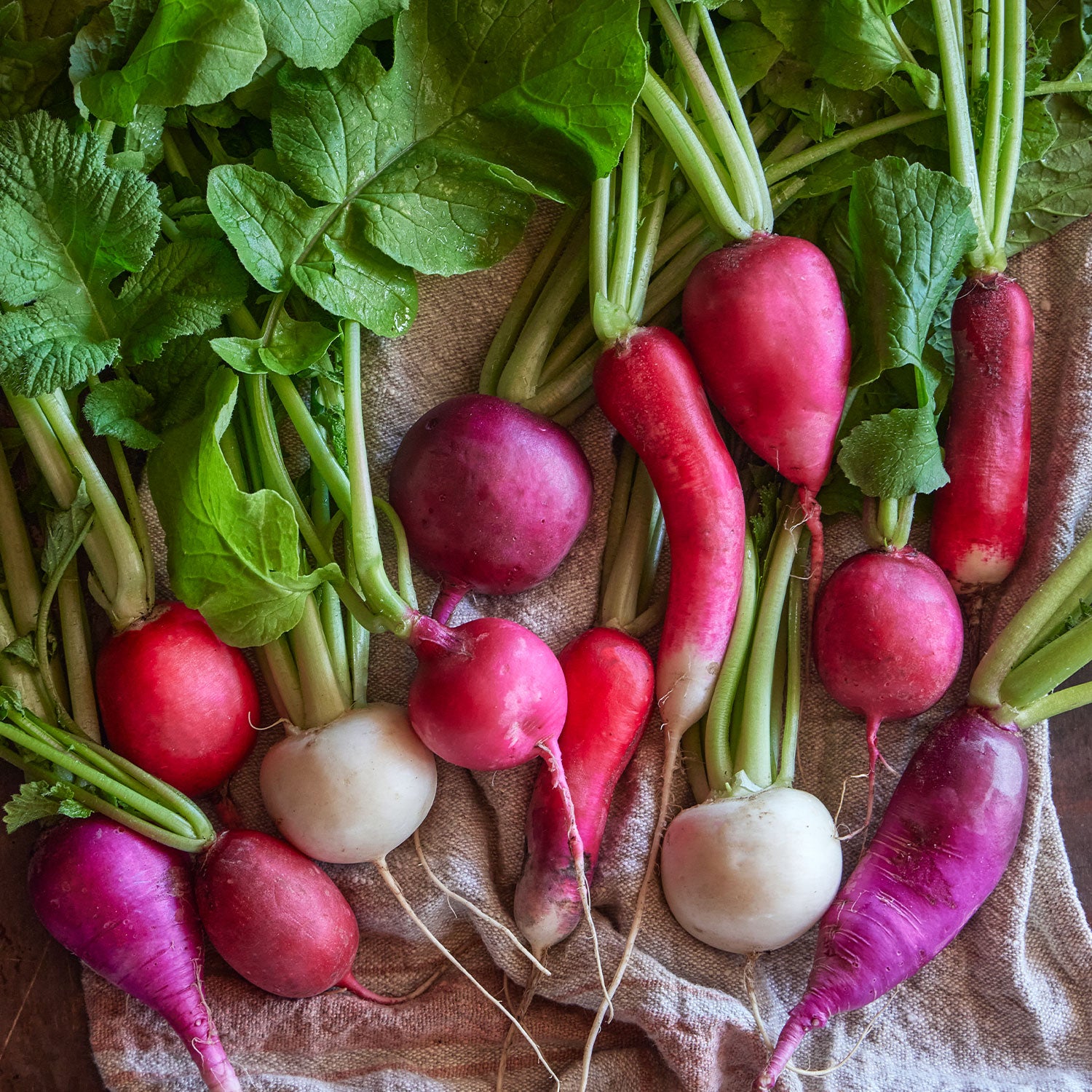 Cooks Custom Blend Beet