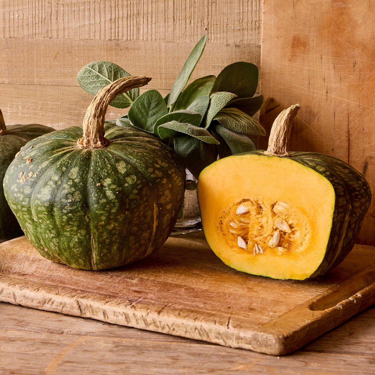 Buttercup Burgess Strain Winter Squash