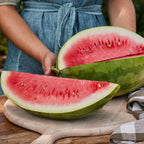 Congo Watermelon