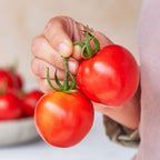 Queen of Hearts Organic Tomato