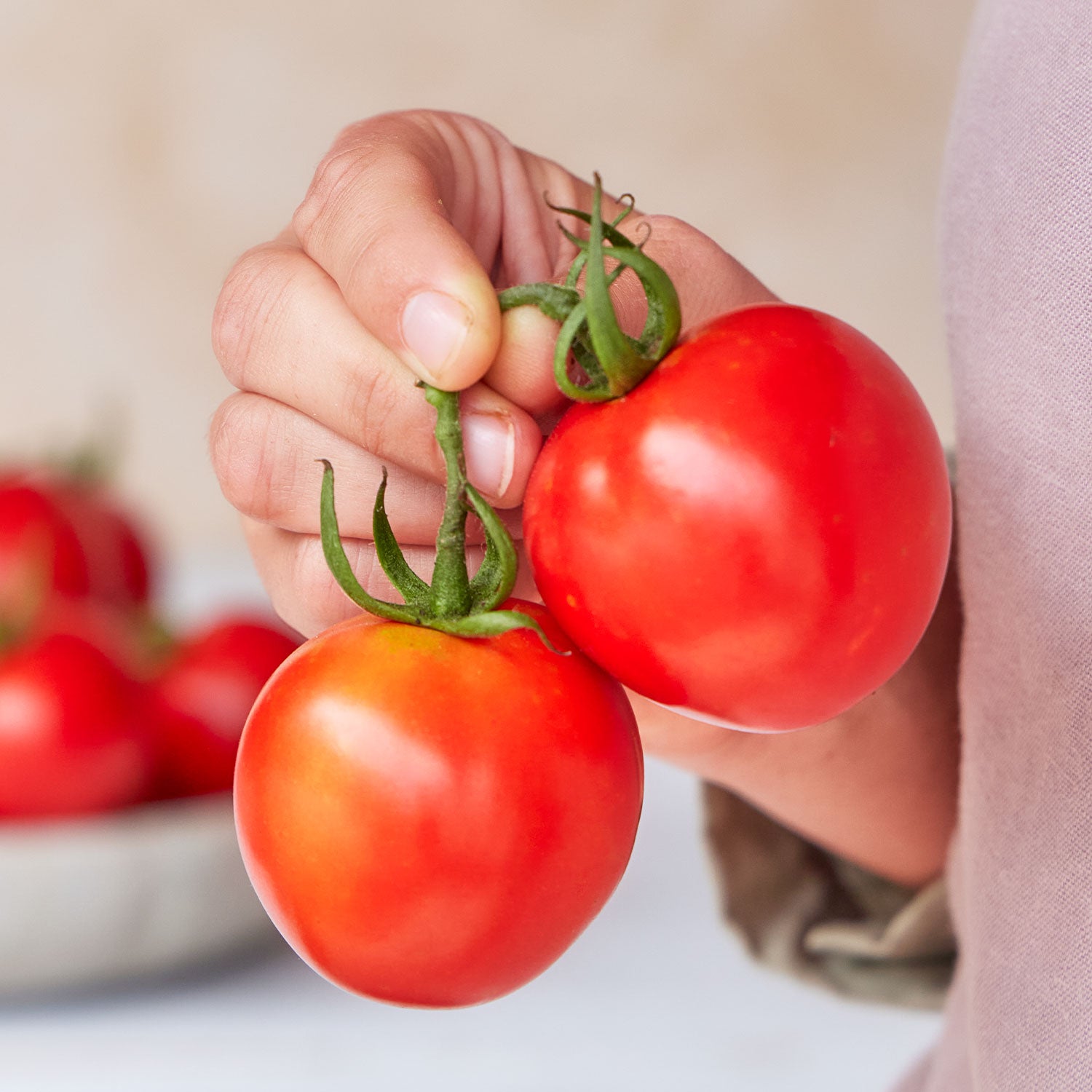 Queen of Hearts Organic Tomato