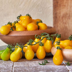 Yellow Pear Tomato