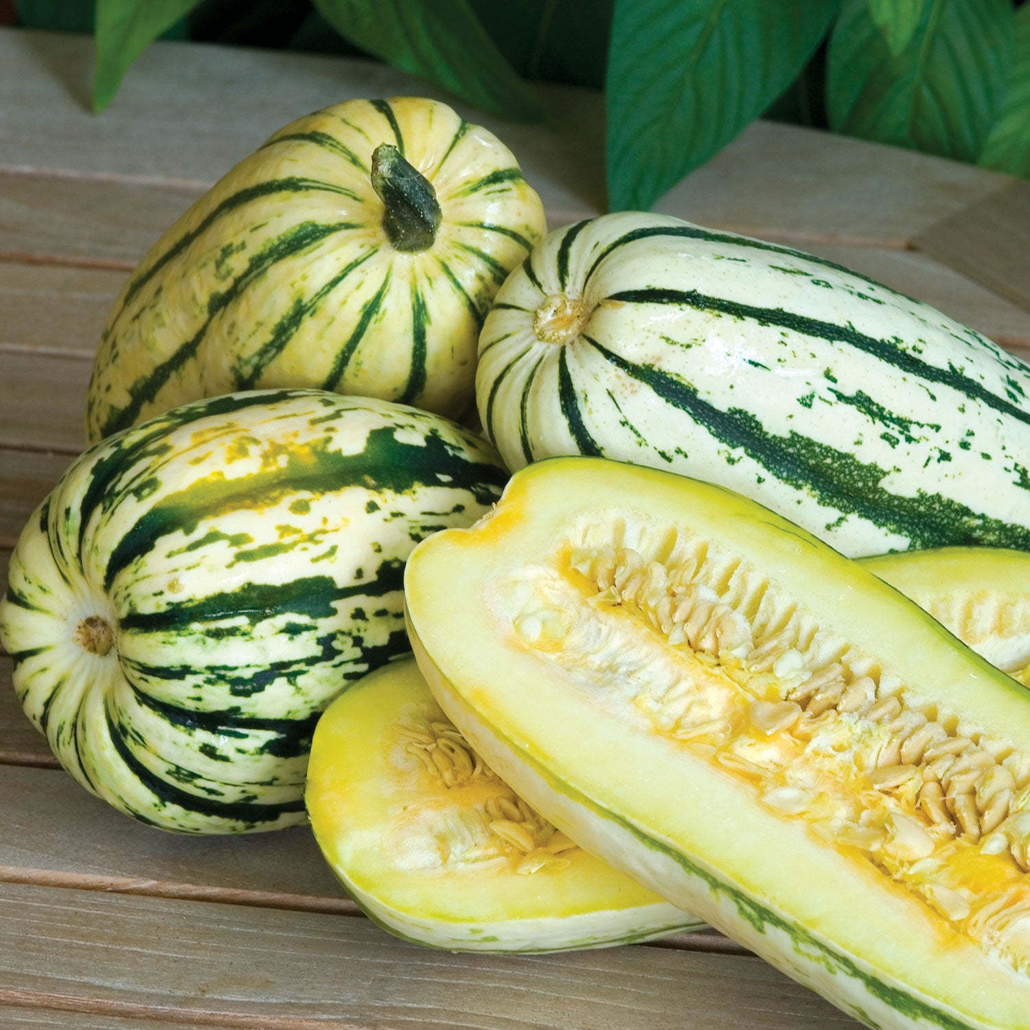 Delicata Squash