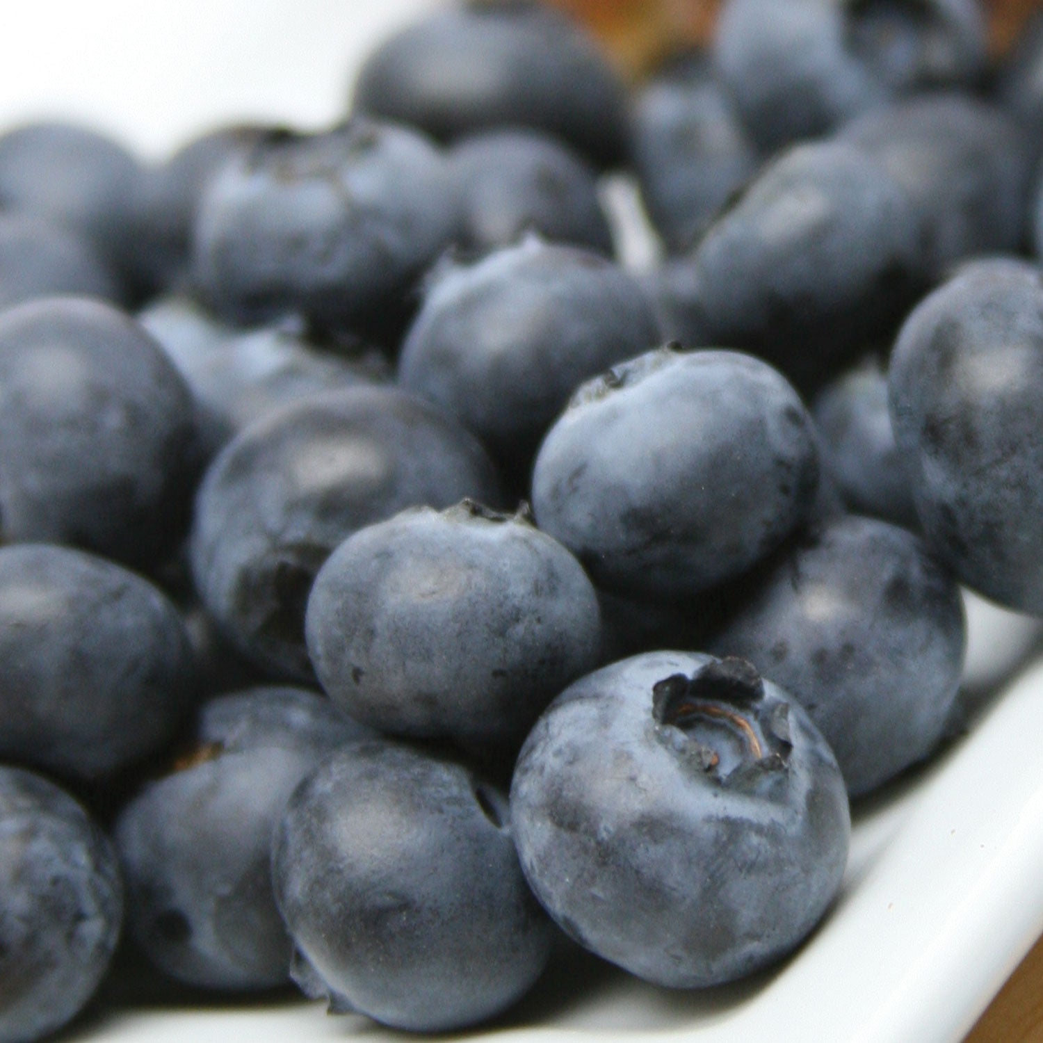 Reka Blueberry