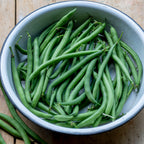 Porch Pick Bush Bean